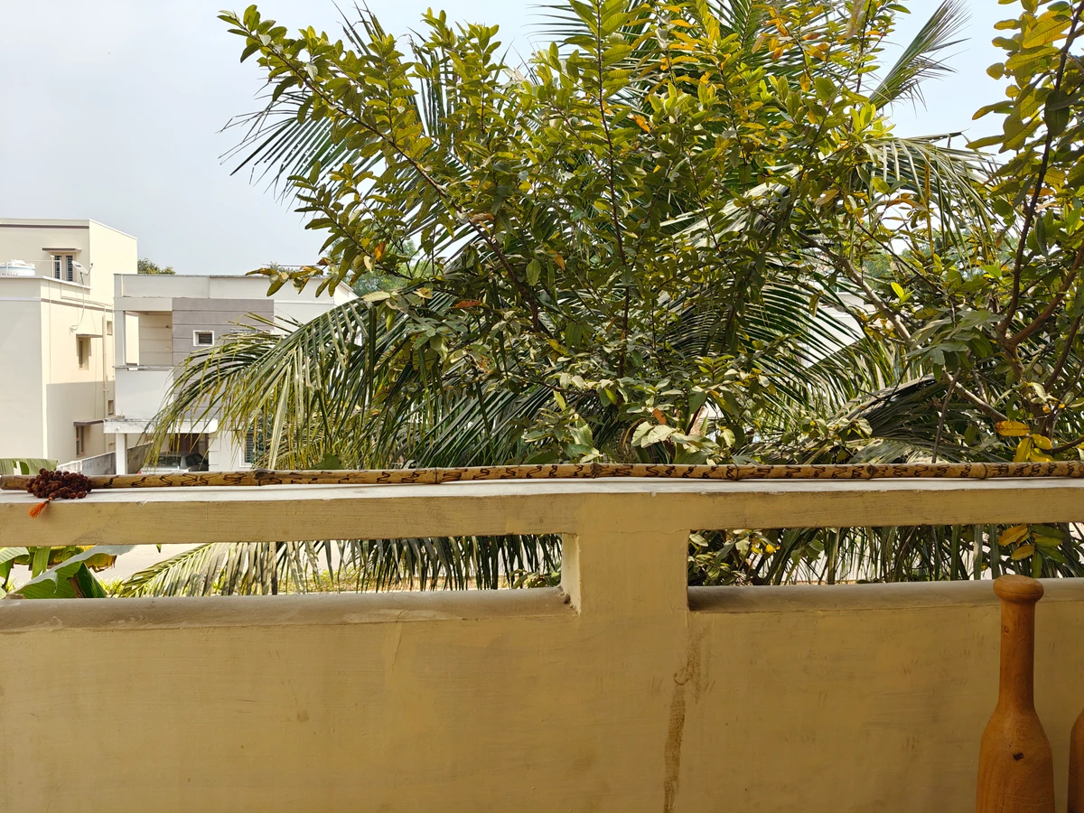 Bamboo Silambam Stick 3