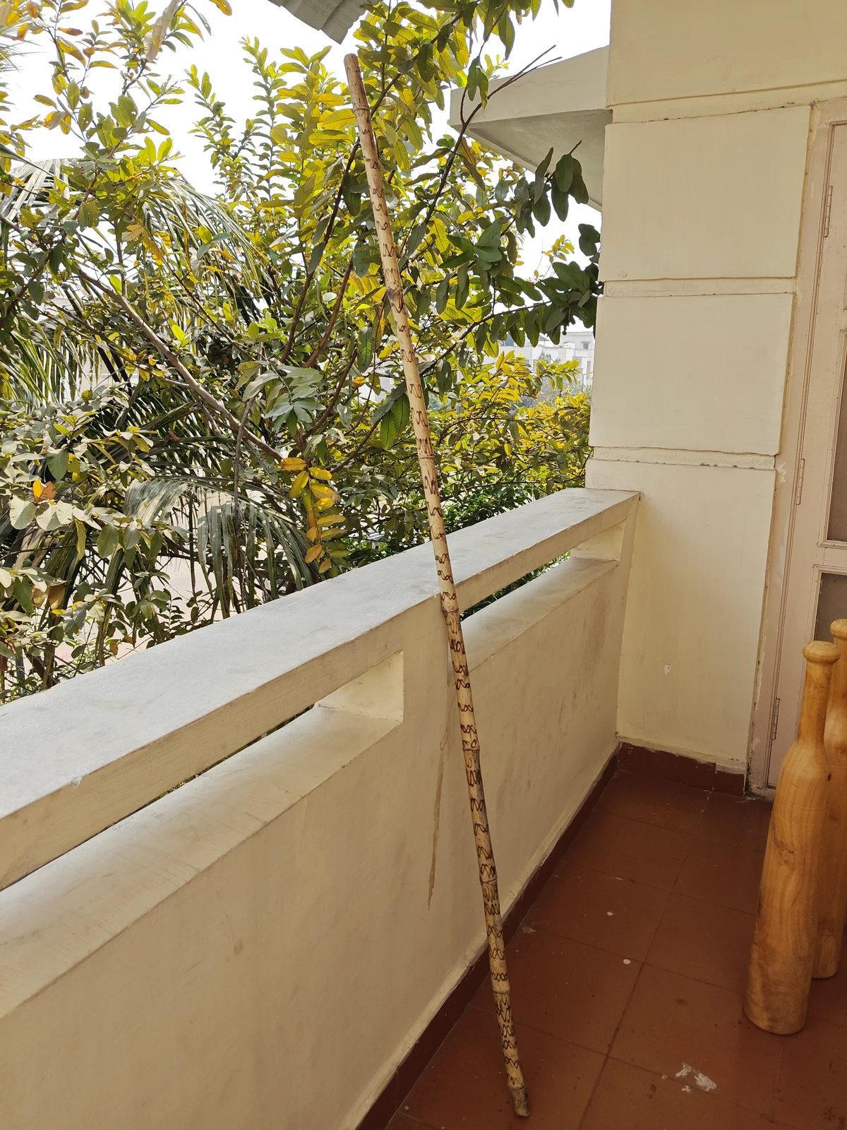 Bamboo Silambam Stick 2