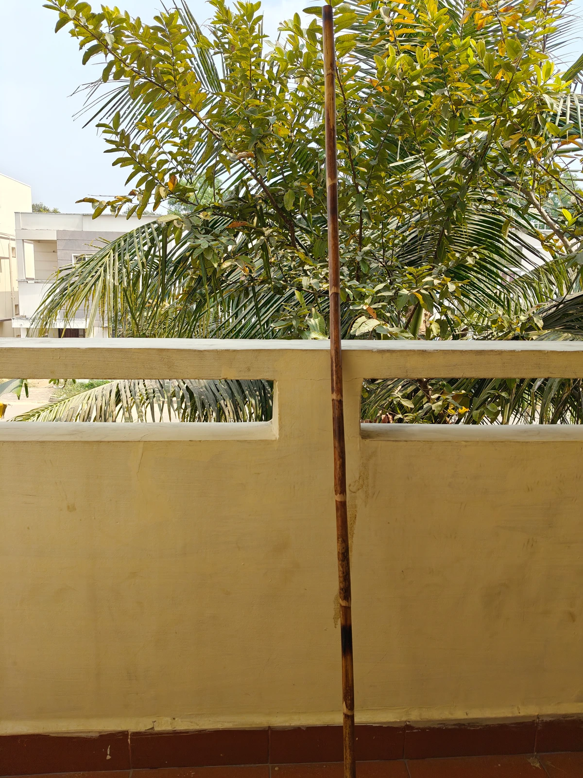 Rattan Silambam Stick