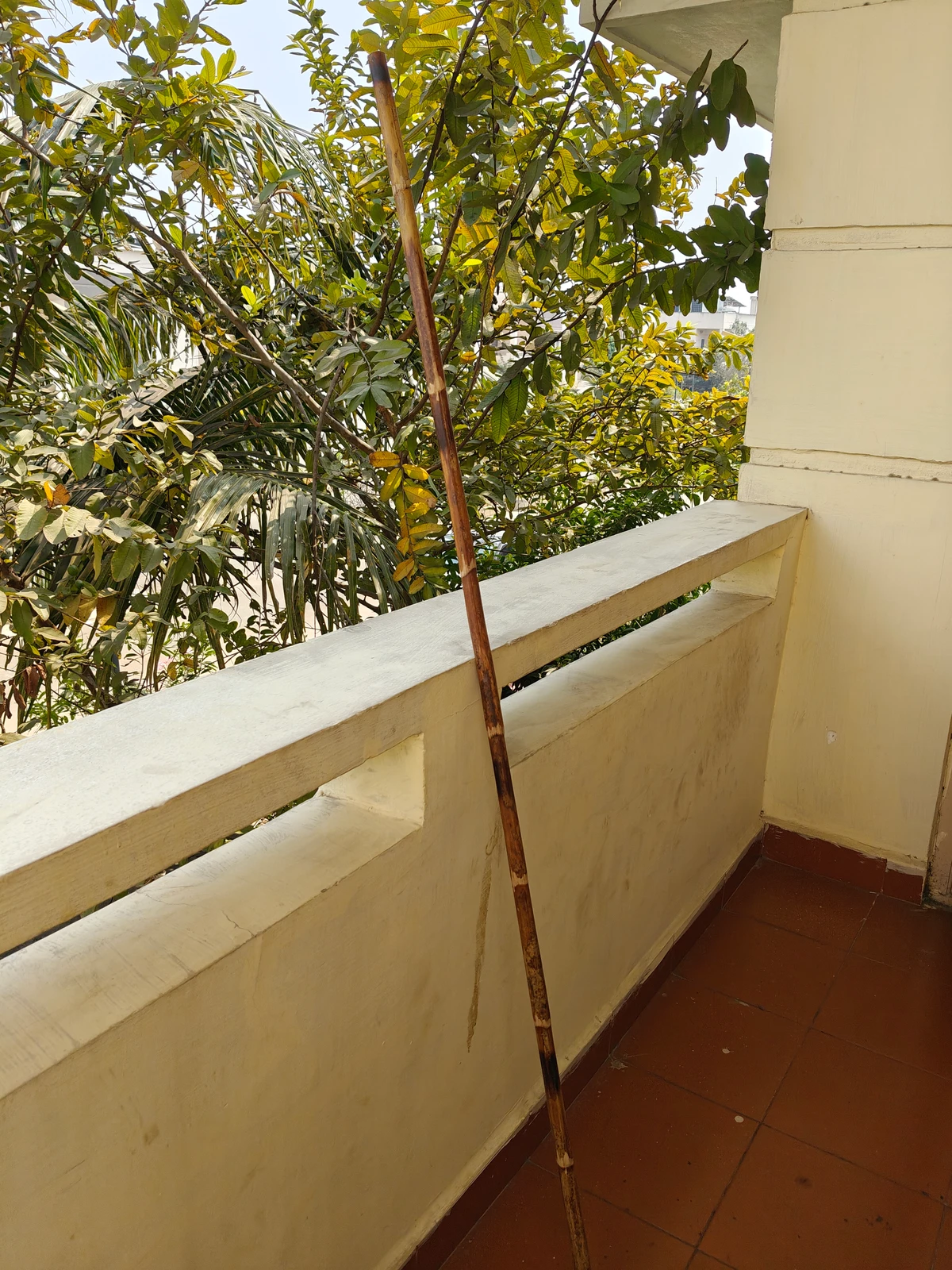 Rattan Silambam Stick 2